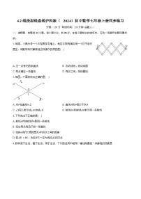 初中数学沪科版（2024）七年级上册（2024）线段、射线、直线优秀精练