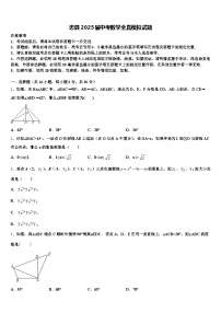 忠县2025届中考数学全真模拟试题含解析