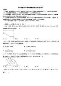 中宁县2025届中考数学模拟预测试卷含解析