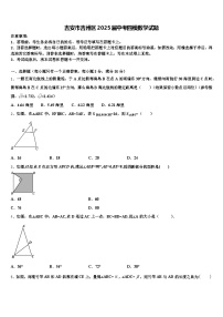 吉安市吉州区2025届中考四模数学试题含解析