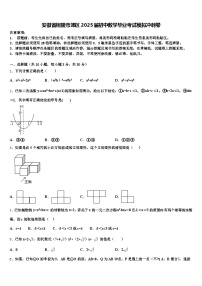 安徽省铜陵市郊区2025届初中数学毕业考试模拟冲刺卷含解析