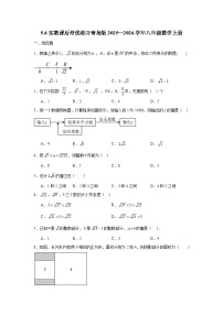 初中数学青岛版（2024）八年级上册（2024）5.6 实数巩固练习