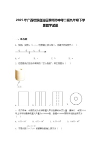 2025年广西壮族自治区柳州市中考二模九年级下学期数学试题（含答案解析）