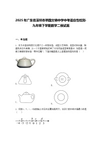 2025年广东省深圳市翠园文锦中学中考适应性检测-九年级下学期数学二模试题（含答案解析）