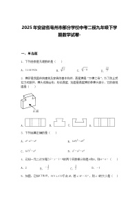 2025年安徽省亳州市部分学校中考二模九年级下学期数学试卷-（含答案解析）