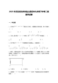 2025年河北省沧州市盐山县初中九年级下中考二模数学试卷（含答案解析）