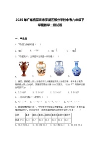 2025年广东省深圳市罗湖区部分学校中考九年级下学期数学二模试题（含答案解析）