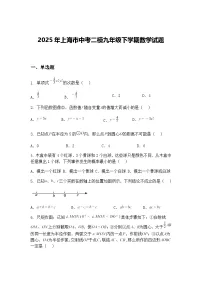 2025年上海市中考二模九年级下学期数学试题(含答案解析)
