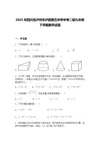 2025年四川省泸州市泸县第五中学中考二模九年级下学期数学试题（含答案解析）
