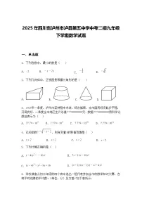 2025年四川省泸州市泸县第五中学中考二模九年级下学期数学试题（含答案解析）