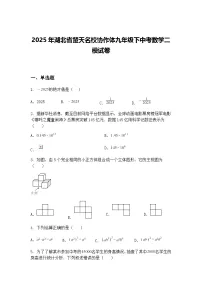 2025年湖北省楚天名校协作体九年级下中考数学二模试卷（含答案解析）