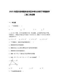 2025年四川省绵阳市安州区中考九年级下学期数学二模二诊试卷（含答案解析）