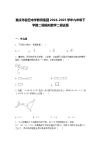 重庆市复旦中学教育集团2024-2025学年九年级下学期二调模拟数学二模试题（含答案解析）