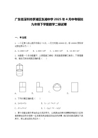 广东省深圳市罗湖区东湖中学2025年4月中考模拟九年级下学期数学二模试卷（含答案解析）