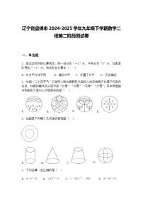 辽宁省盘锦市2024-2025学年九年级下学期数学二模第二阶段测试卷（含答案解析）