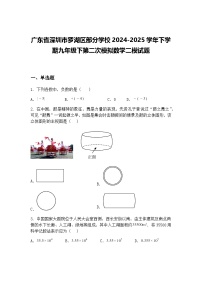 广东省深圳市罗湖区部分学校2024-2025学年下学期九年级下第二次模拟数学二模试题（含答案解析）