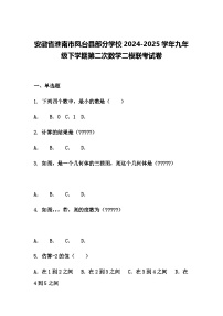 安徽省淮南市凤台县部分学校2024-2025学年九年级下学期第二次数学二模联考试卷（含答案解析）