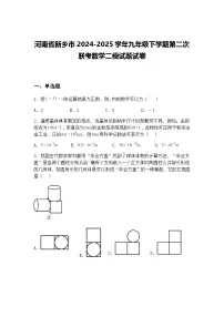 河南省新乡市2024-2025学年九年级下学期第二次联考数学二模试题试卷（含答案解析）