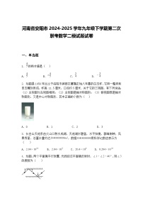 河南省安阳市2024-2025学年九年级下学期第二次联考数学二模试题试卷（含答案解析）