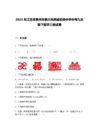 2025年江苏省泰州市泰兴市西城初级中学中考九年级下数学三模试卷(含答案解析)