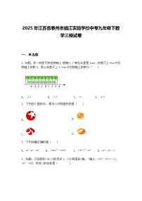2025年江苏省泰州市靖江实验学校中考九年级下数学三模试卷（含答案解析）