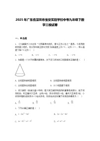 2025年广东省深圳市宝安实验学校中考九年级下数学三模试卷（含答案解析）