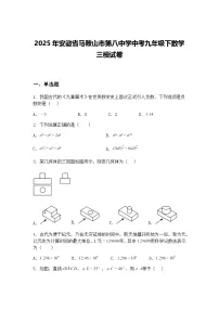 2025年安徽省马鞍山市第八中学中考九年级下数学三模试卷（含答案解析）