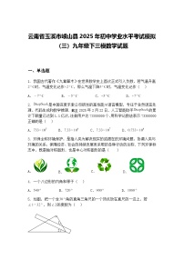 云南省玉溪市峨山县2025年初中学业水平考试模拟（三）九年级下三模数学试题（含答案解析）