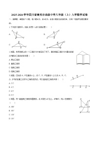 2025-2026学年四川省南充市高级中学八年级（上）入学数学试卷-自定义类型