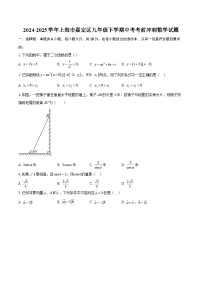2024-2025学年上海市嘉定区九年级下学期中考考前冲刺数学试题-自定义类型