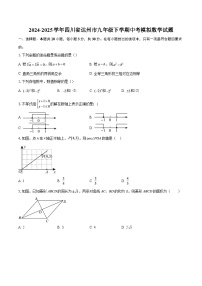 2024-2025学年四川省达州市九年级下学期中考模拟数学试题-自定义类型