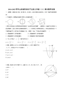2024-2025学年山西省阳泉市平定县九年级（上）期末数学试卷-自定义类型