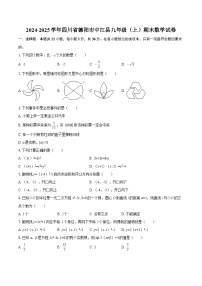 2024-2025学年四川省德阳市中江县九年级（上）期末数学试卷-自定义类型