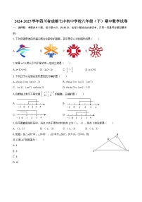 2024-2025学年四川省成都七中初中学校八年级（下）期中数学试卷-自定义类型