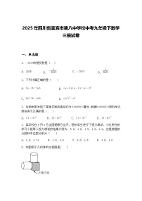 2025年四川省宜宾市第八中学校中考九年级下数学三模试卷（含答案解析）