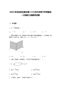 2025年河北省石家庄第二十八中九年级下中考最后一次模拟三模数学试卷（含答案解析）
