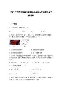 2025年江西省宜春市宜阳学校中考九年级下数学三模试卷（含答案解析）