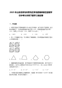 2025年山东省青岛市黄岛区青岛西海岸新区超银学校中考九年级下数学三模试卷（含答案解析）