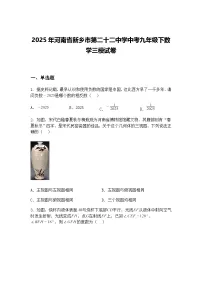 2025年河南省新乡市第二十二中学中考九年级下数学三模试卷（含答案解析）