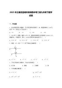 2025年云南省昆明市嵩明县中考三模九年级下数学试题（含答案解析）