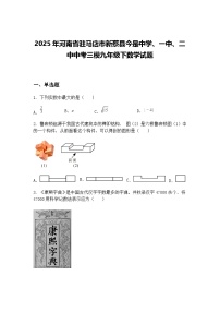 2025年河南省驻马店市新蔡县今是中学、一中、二中中考三模九年级下数学试题（含答案解析）