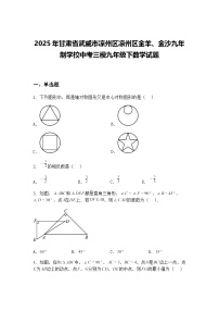 2025年甘肃省武威市凉州区凉州区金羊、金沙九年制学校中考三模九年级下数学试题（含答案解析）