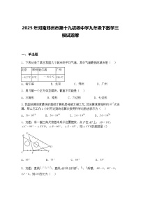 2025年河南郑州市第十九初级中学九年级下数学三模试题卷（含答案解析）