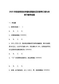 2025年安徽省安庆市宿松县宿松五校联考三模九年级下数学试题（含答案解析）