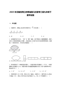 2025年河南省周口市郸城县几校联考三模九年级下数学试题（含答案解析）