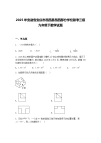 2025年安徽省安庆市岳西县岳西部分学校联考三模九年级下数学试题（含答案解析）