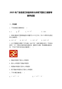 2025年广东省湛江市雷州市九年级下四校三模联考数学试题（含答案解析）