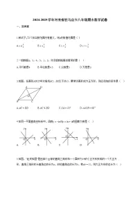 2024~2025学年河南省驻马店市八年级下学期期末数学试题（含答案）