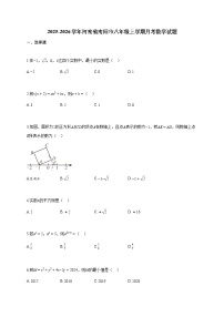 2025~2026学年河南省南阳市八年级上学期月考数学试题(含答案)