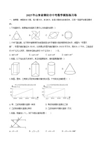 2025年山东省潍坊市中考数学模拟练习卷-自定义类型